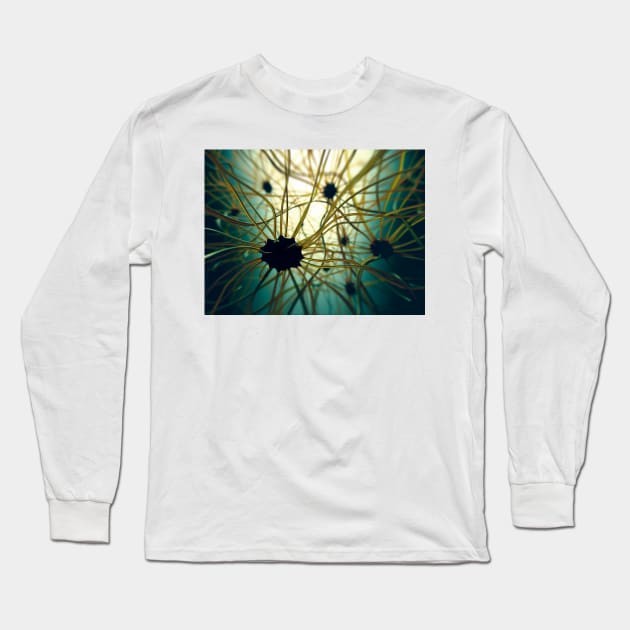 Human nerve cells, illustration (F012/8233) Long Sleeve T-Shirt by SciencePhoto